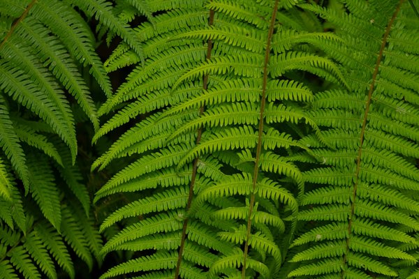 Les musées de mode les plus influents