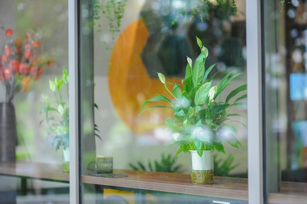 Quelle est l'importance des compétences digitales en clinique ?